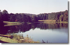 Lake Vista