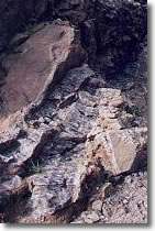 Panorama Mine Amethyst - Semi-Precious Stone.