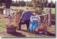 Meaford - Scarecrows