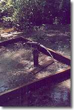 Blackville - Healing Springs